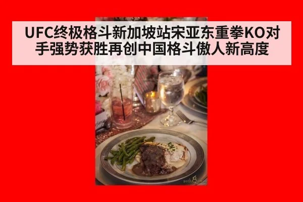 UFC终极格斗新加坡站宋亚东重拳KO对手强势获胜再创中国格斗傲人新高度